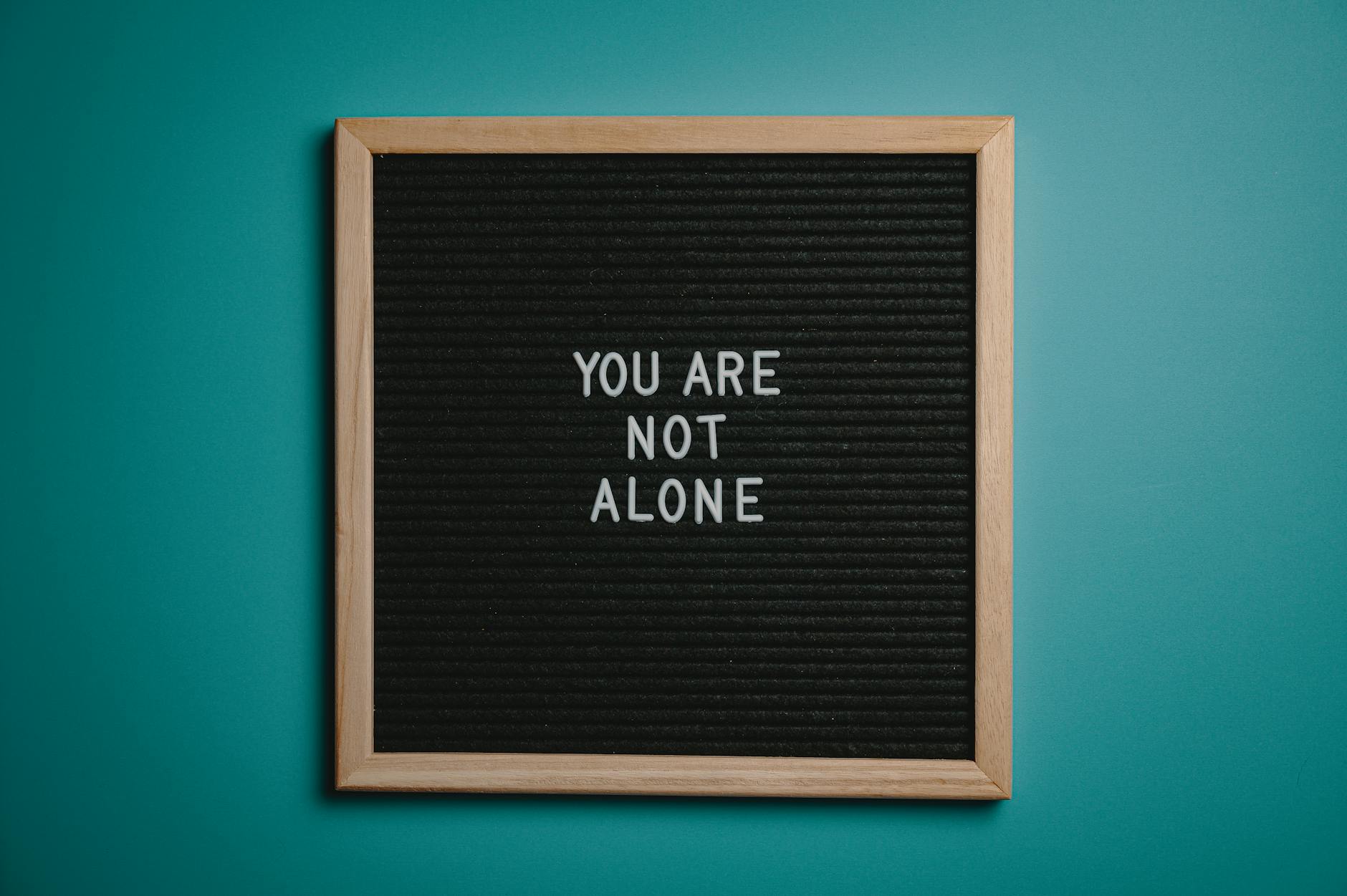 pexelsphoto2821220 The Traini Counseling Group you are not alone quote board on brown wooden frame